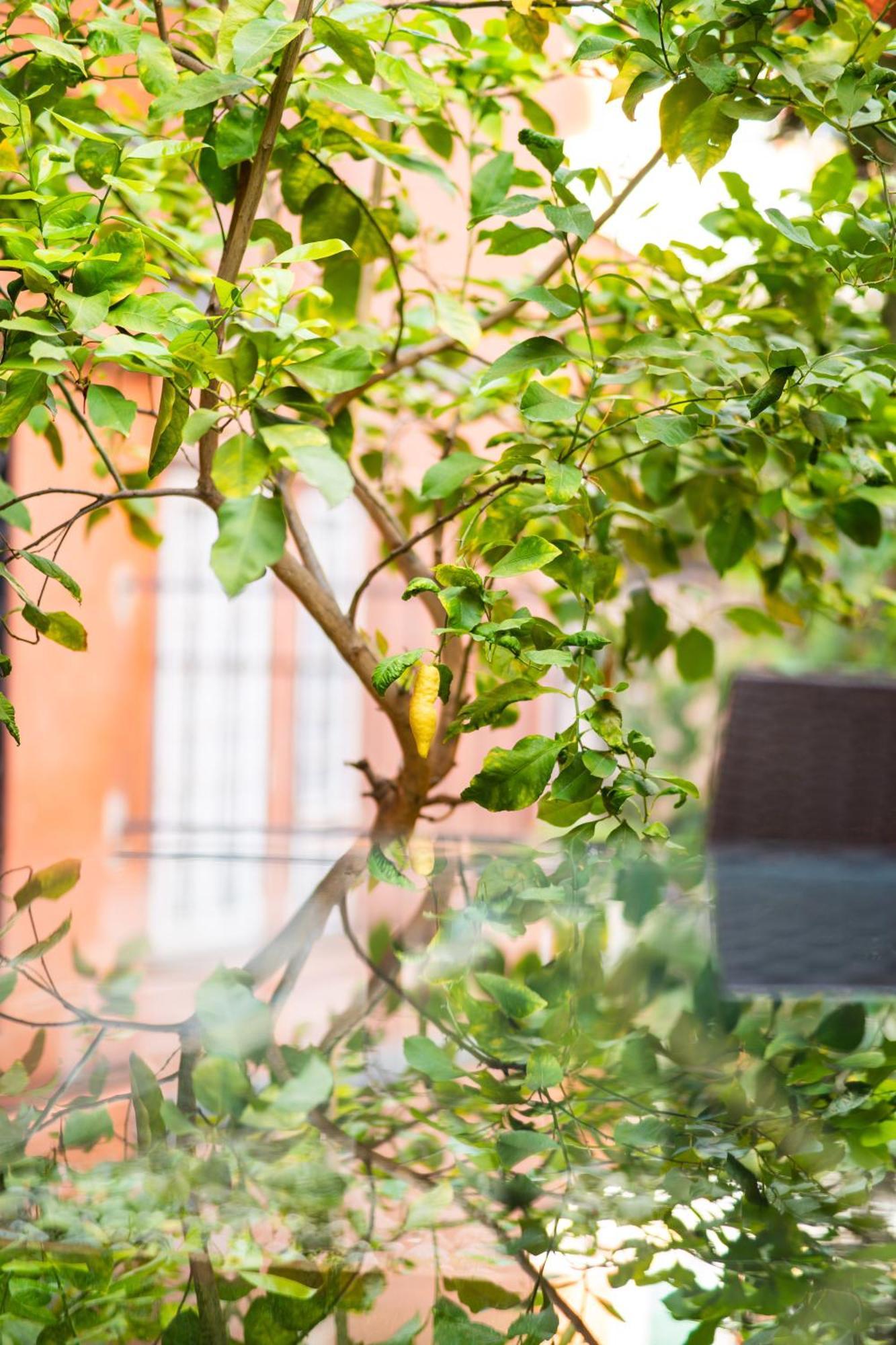 Aurea Suite Vaticano โรม ภายนอก รูปภาพ